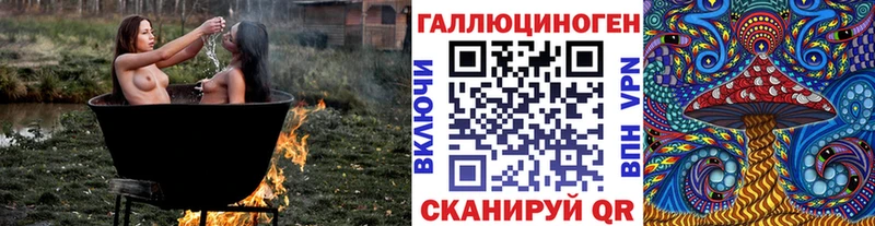 Псилоцибиновые грибы мицелий  Вяземский 