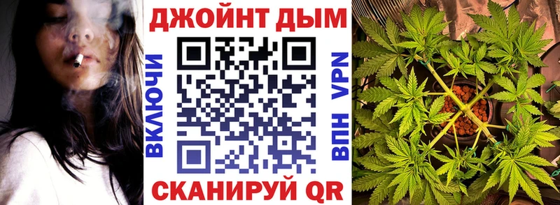 Бошки Шишки MAZAR  Вяземский 
